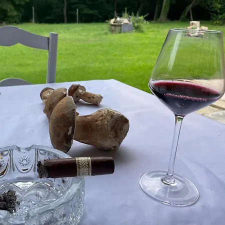 La Cheneraie De Tomelou - Belle Propriete Avec Piscine Chauffee Et Gardien